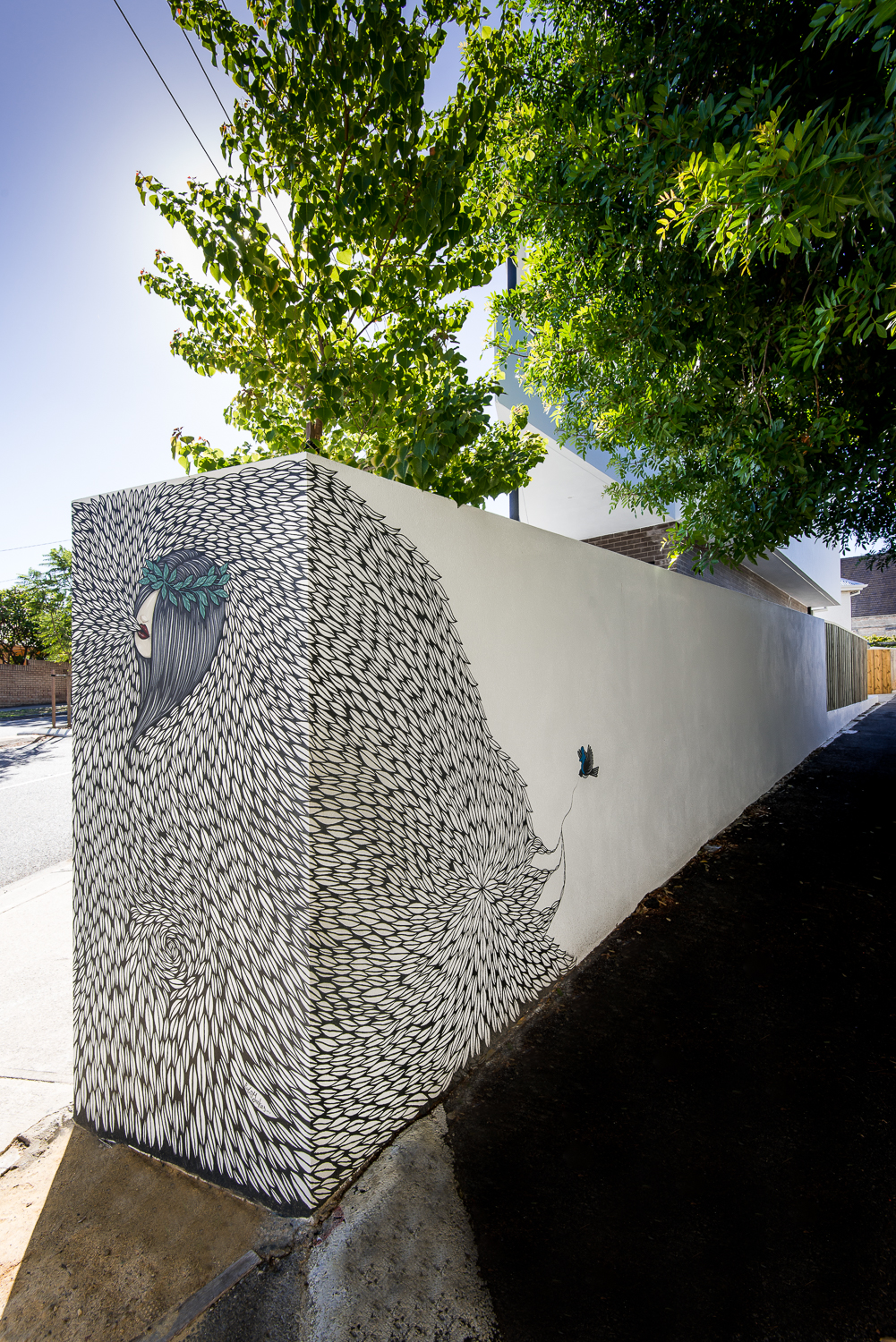 Triangle-House-The-Black-Mountains-mural-corner-wrap-Mount-Lawley-JustHome.Design-Img22