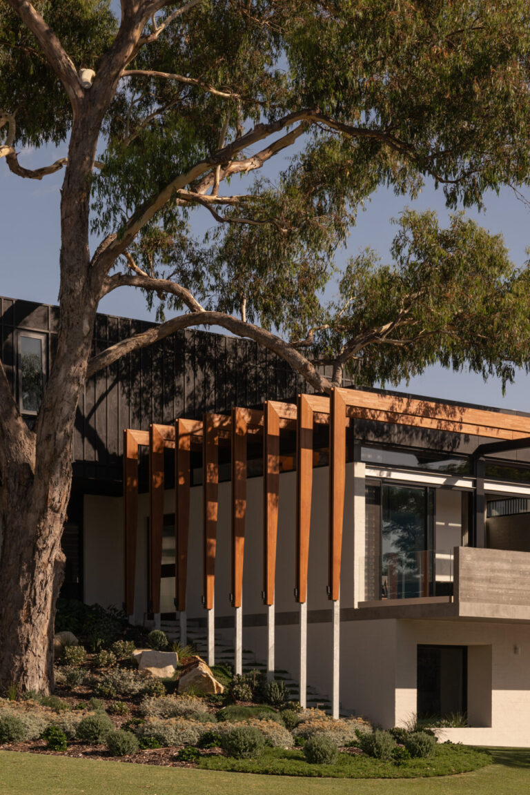 20260130_Goldmead_Robeson_DionRobeson-47_LR