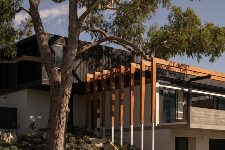 20260130_Goldmead_Robeson_DionRobeson-50_LR