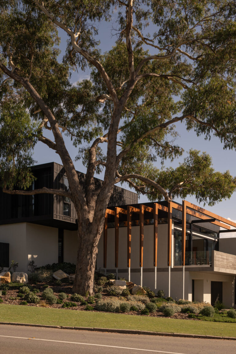 20260130_Goldmead_Robeson_DionRobeson-54_LR