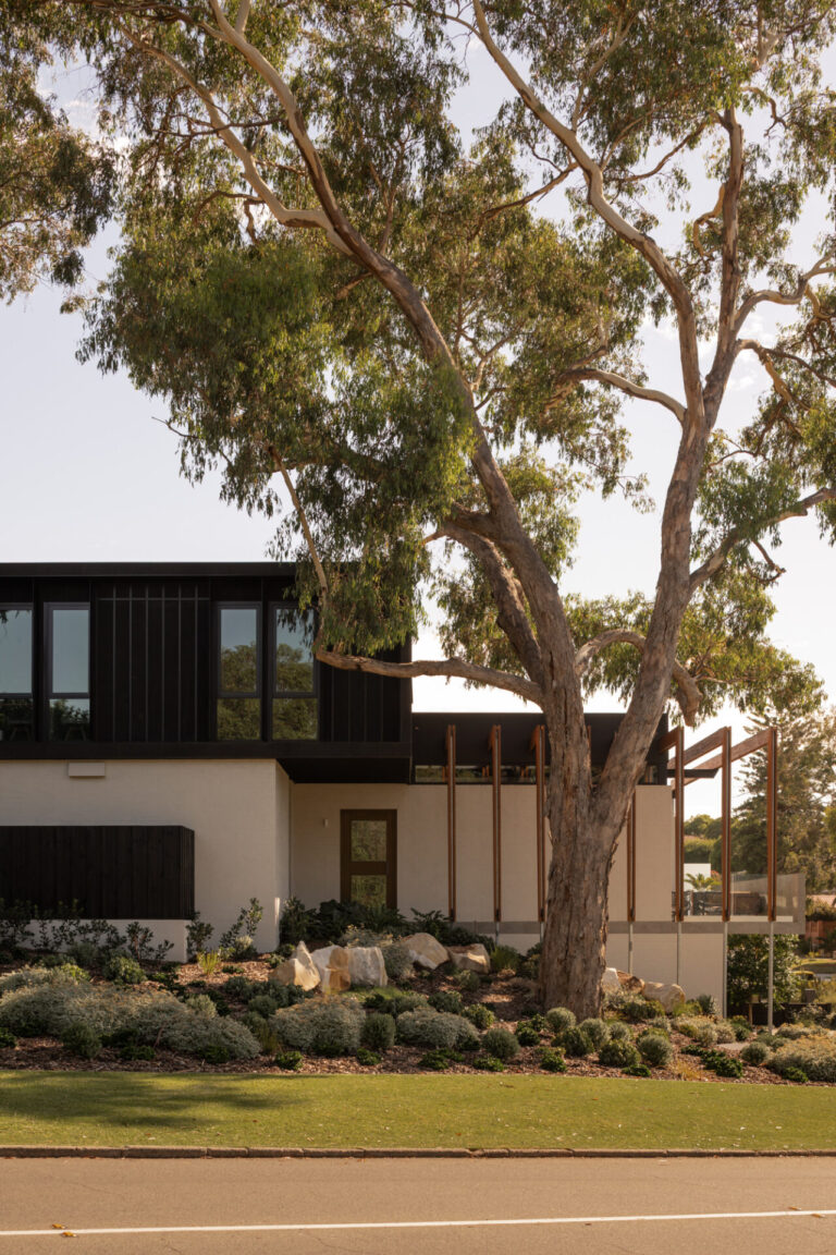 20260130_Goldmead_Robeson_DionRobeson-68_LR