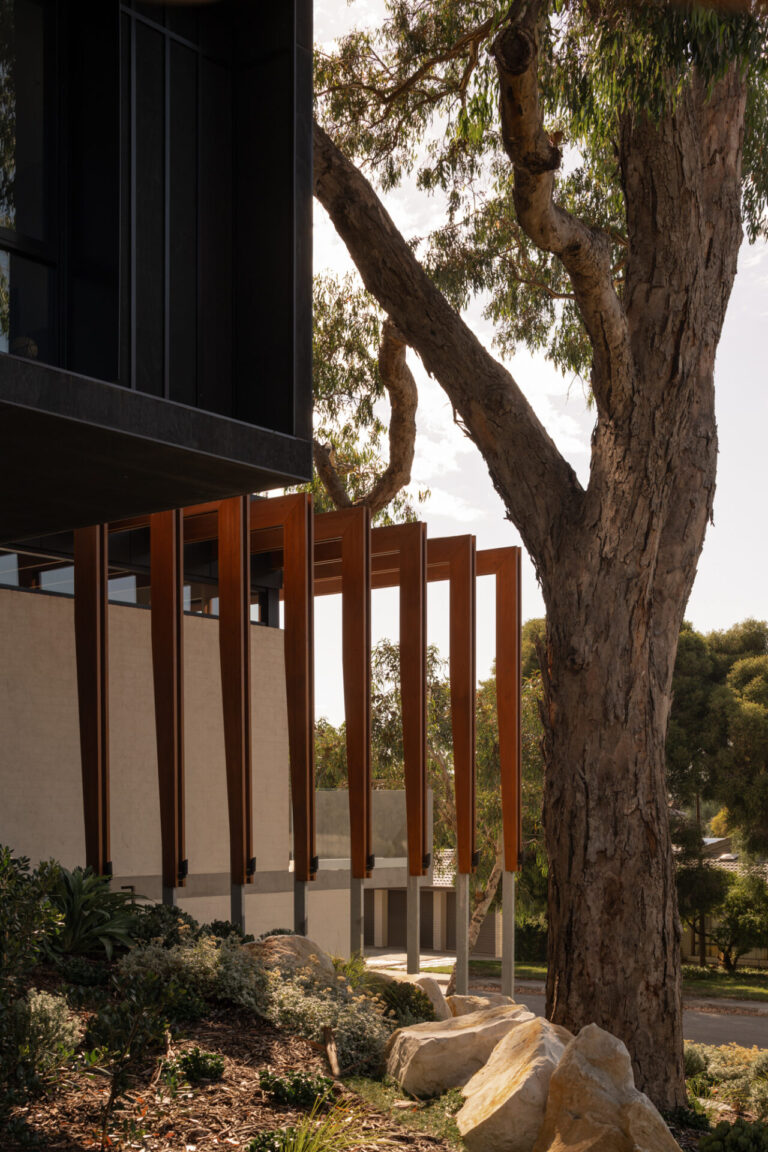 20260130_Goldmead_Robeson_DionRobeson-76_LR